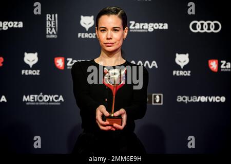 X edición de los Premios Feroz celebrados el pasado 28 de enero en Zaragoza, España. Lo mejor de la producción audiovisuelles española del año. Stockfoto