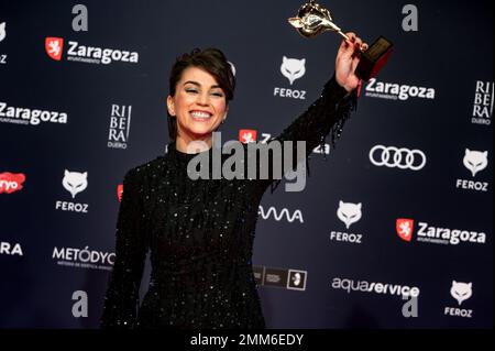 X edición de los Premios Feroz celebrados el pasado 28 de enero en Zaragoza, España. Lo mejor de la producción audiovisuelles española del año. Stockfoto