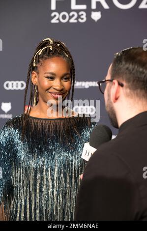 X edición de los Premios Feroz celebrados el pasado 28 de enero en Zaragoza, España. Lo mejor de la producción audiovisuelles española del año. Stockfoto