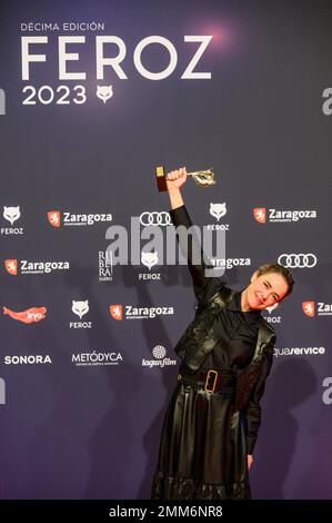 X edición de los Premios Feroz celebrados el pasado 28 de enero en Zaragoza, España. Lo mejor de la producción audiovisuelles española del año. Stockfoto