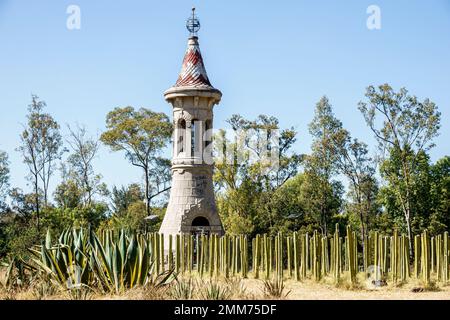 Mexiko-Stadt, Bosque de Chapultepec Abschnitt 2 Wald, Museo Jardin del Agua Garten des Wassermuseums Lüftungsturm, Kaktuscacti Stockfoto