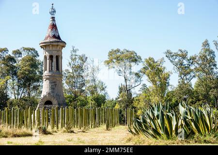 Mexiko-Stadt, Bosque de Chapultepec Abschnitt 2 Wald, Museo Jardin del Agua Garten des Wassermuseums Lüftungsturm, Kaktuscacti Stockfoto