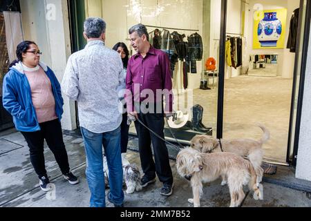 Mexiko-Stadt, Avenida Alvaro ObregÃ³n Roma Norte Cuauhtemoc, Coliseo Boutique, Nachbarn, die sich mit Hunden unterhalten, Männer, Frauen, Frauen, Frauen, Frauen, adu Stockfoto