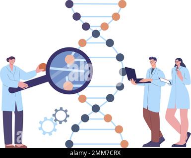 Wissenschaftler und Assistenten erforschen DNA. Genetische Laborerfahrung, Menschen geboren Code-Änderungsprozess. Medizinische Laborarbeit Vektorszene Stock Vektor