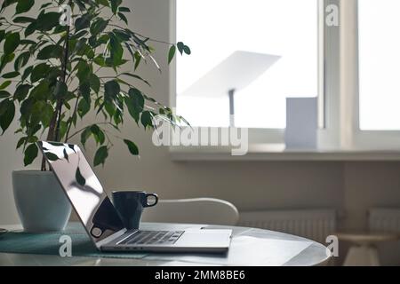 Laptop auf Tisch mit Topfpflanzen und Tasse Tee in gemütlicher Inneneinrichtung. Konzept der Heimarbeit. Stockfoto