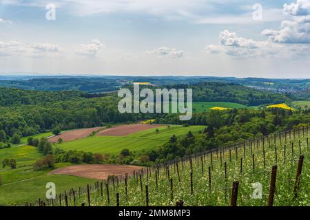 Die Kraichgauer Landschaft, die Toscana von Deutschland, Blick über Eichelberg, Oestringen im Mai Stockfoto
