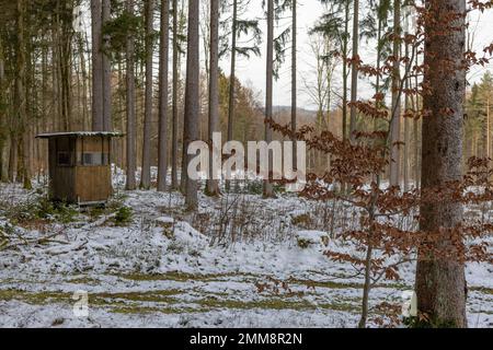 Jagdstand im Wald Stockfoto