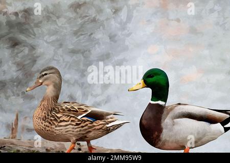 Digital erstelltes Aquarellgemälde von wilden Stockenten Anas platyrhynchos, die zusammen mit Kopierraum spazieren Stockfoto