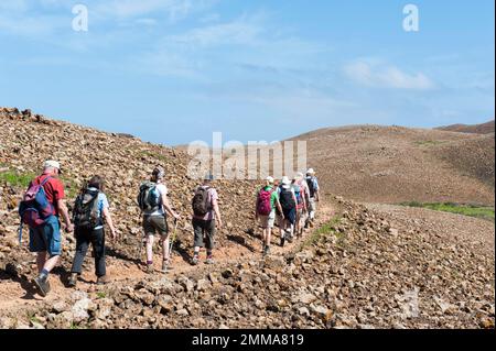 Wandergruppe, karge Landschaft, Wanderer, die einen hinter dem anderen auf dem Wanderweg durch Lavafelsen am Vulkan Calderon Hondo in der Nähe von Lajares laufen Stockfoto