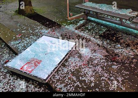 Glasgow, Schottland, Vereinigtes Königreich 29. Januar 2023. Die Flut des Vandalismus geht in der Stadt weiter, da Bushaltestellen für ihre Glasfassade vorgesehen sind, mit einer 1000 Pfund-Rechnung für jede zerstörte die Dystopie geht von Graffiti bis Verbrechen weiter. Ich habe mir eine der verwüsteten Haltestellen auf der Great Western Road A82 vorgestellt. Credit Gerard Ferry/Alamy Live News Stockfoto