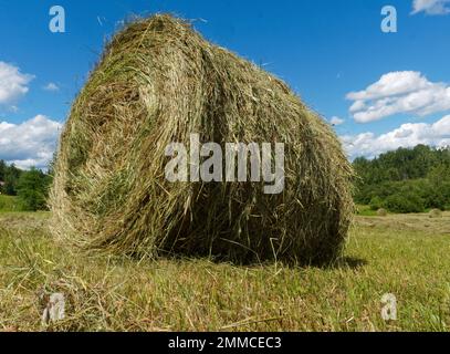 Runder Heuballen auf einem Feld. Quebec, Kanada Stockfoto