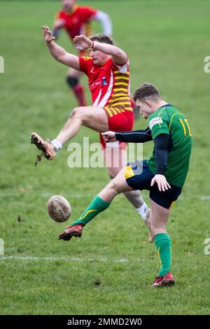 Rugby-Spieler wirft Kick-Ball. Stockfoto