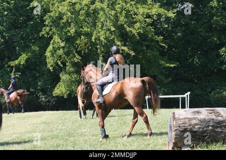 Queeny Park Equestrian 2022 im Queeny Park das Mini-Event besteht aus zwei Tagen Show Jumping, Cross Country und Dressage. Stockfoto