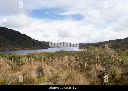 Die Chingaza National Natural Park Landschaft bei Sonnenuntergang Golden Hour Stockfoto