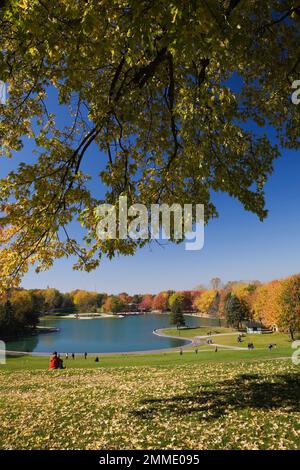 Beaver Lake eingerahmt von Acer - Ahornbäume am Mount Royal Park im Herbst, Montreal, Quebec, Kanada. Stockfoto
