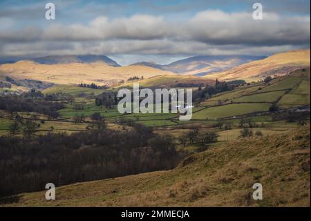 Spaziergang durch die Wainwright Outlyers in der Nähe von Windermere im Lake District Stockfoto