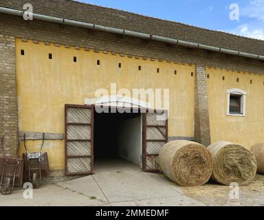 Die Magyar Cowboy Ranch befindet sich in Dunapataj, Bács-Kiskun-Kiskun, Ungarn, 60 Meilen von Budapest entfernt. Pferdeshows, Demonstrationen, Wagenfahrten und Scheunen. Stockfoto