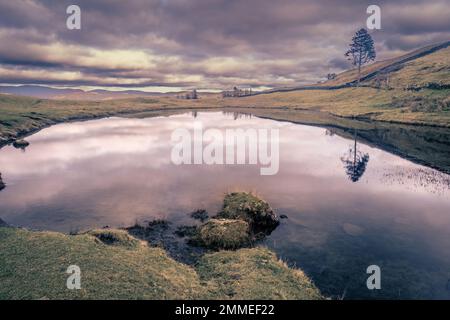 Spaziergang durch die Wainwright Outlyers in der Nähe von Windermere im Lake District Stockfoto