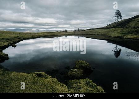 Spaziergang durch die Wainwright Outlyers in der Nähe von Windermere im Lake District Stockfoto