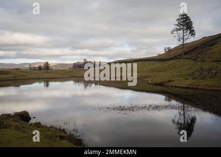 Spaziergang durch die Wainwright Outlyers in der Nähe von Windermere im Lake District Stockfoto