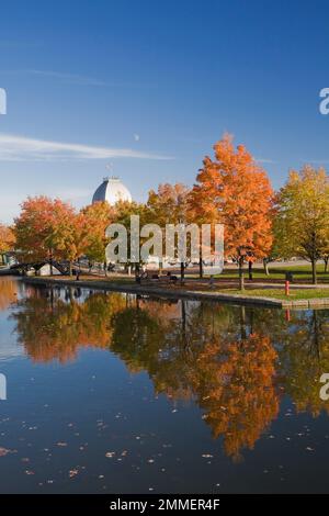 Ahornreihe Acer - Ahornbäume im Bonsecours Basin und Pavillon im Herbst, Alter Hafen von Montreal, Quebec, Kanada. Stockfoto