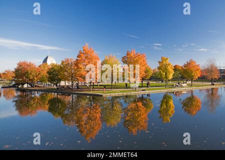 Ahornreihe Acer - Ahornbäume im Bonsecours Basin und Pavillon im Herbst, Alter Hafen von Montreal, Quebec, Kanada. Stockfoto