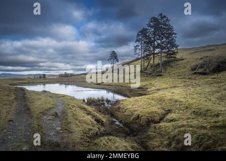 Spaziergang durch die Wainwright Outlyers in der Nähe von Windermere im Lake District Stockfoto