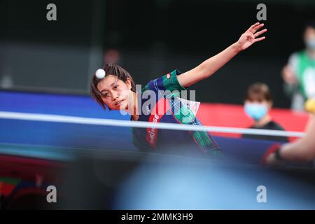 Tokio, Japan. 28. Januar 2023. Hitomi Sato Tischtennis : Alle Japan Table Tennis Championships 2023 Frauen Singles Viertelfinale im Tokyo Metropolitan Gymnasium in Tokio, Japan . Kredit: Yohei Osada/AFLO SPORT/Alamy Live News Stockfoto