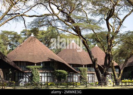Bungalows in African Eco Lodge Stockfoto