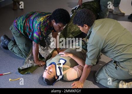 Kini Leweni Tuisolia Woi, Logistics Support Unit, Medical Company, Fiji Army, Links, Und die Privatperson Lusiana Likudomole, Territorial Force Brigade, Fidschi Army, debattiert schnell während des Geschicklichkeitstests des Tactical Combat Care Course Szenario vier mit SSG Kristy M. Rosado, 402. Forward Resuscitative Surgical Team, um einen Patienten zu simulieren, der von einem improvisierten Sprengstoffanschlag getroffen wurde, der Amputation und massive Blutungen verursachte. Regelmäßige Übungen und Engagements mit unseren Verbündeten und Partnern sind entscheidend für die Förderung der zivil-militärischen Zusammenarbeit, die Verbesserung der Notfallbereitschaft und ENHan Stockfoto