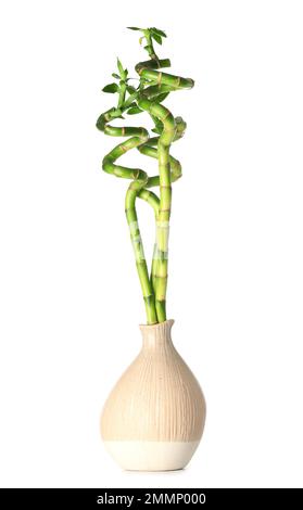 Vase mit grünen Bambusstämmen auf weißem Hintergrund Stockfoto