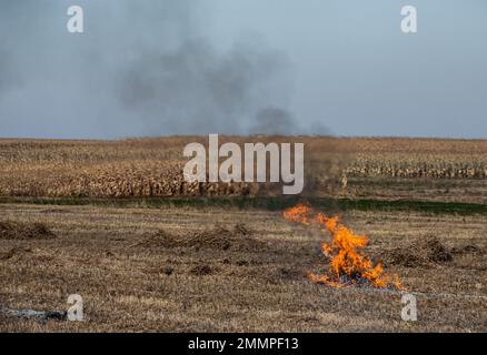 Verbrennung landwirtschaftlicher Abfälle - Smog und Verschmutzung. Schädliche Emissionen aus Heu- und Strohverbrennung auf landwirtschaftlichen Feldern. Stockfoto