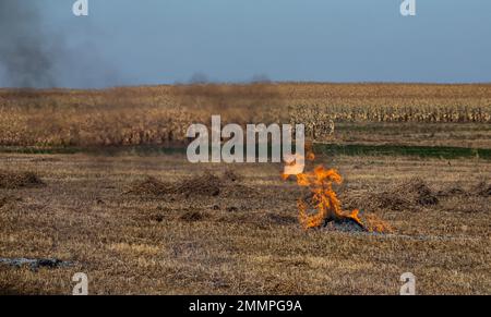 Verbrennung landwirtschaftlicher Abfälle - Smog und Verschmutzung. Schädliche Emissionen aus Heu- und Strohverbrennung auf landwirtschaftlichen Feldern. Stockfoto