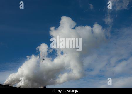 Weißer und grauer Rauch und Dampf aus einem hohen Betonkamin am hellblauen Himmel. Stockfoto