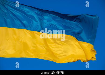 Ukrainische Flagge im Wind. Vor dem Hintergrund des Himmels. Stockfoto