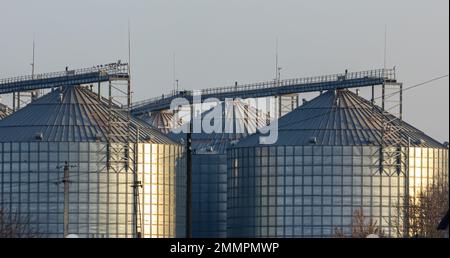 Eine große moderne Pflanze für die Lagerung und Verarbeitung von Getreidepflanzen. Blick auf die Kornkammer an einem sonnigen Tag. Große Eisenfässer mit Getreide. Silbersilos auf A Stockfoto