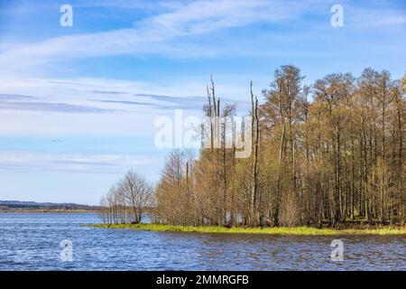 See mit Bäumen auf einer Landzunge Stockfoto