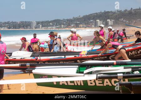 Surfboat Racing Carnival in Sydney am North Narrabeen Beach, örtliche Surfclubs treten an den Spitzenrennen in Sydney, NSW, Australien an Stockfoto