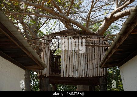 Aussichtsplattform oder Versteck in einem Baobab-Baum in Gambia, Westafrika. Geeignet zur Vogelbeobachtung. Stockfoto