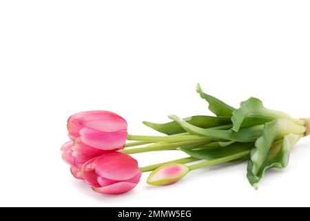 Pinke Tulpen mit grünen Blättern liegen auf einem weißen, isolierten Hintergrund. Feiertage, Internationale Frauen, Muttertag, Geburtstag, 8. März. Speicherplatz kopieren Stockfoto