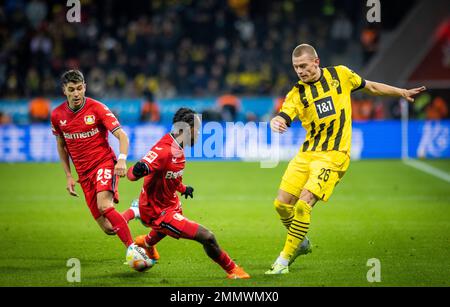 Leverkusen, Deutschland. 29. Januar 2023. Julian Ryerson (BVB), Jeremie Frimpong (Leverkusen), Exequiel Palacios (Leverkusen) Bayer Leverkusen - Borussia Stockfoto