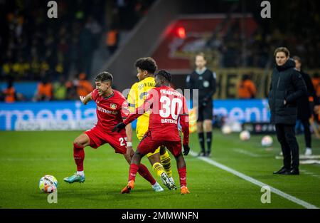 Leverkusen, Deutschland. 29. Januar 2023. Exequiel Palacios (Leverkusen), Karim Adeyemi (BVB), Jeremie Frimpong (Leverkusen) Bayer Leverkusen - Borussia D. Stockfoto