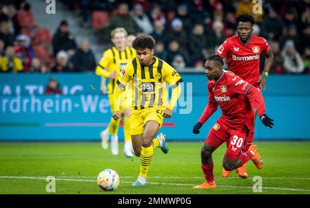 Leverkusen, Deutschland. 29. Januar 2023. Karim Adeyemi (BVB), Jeremie Frimpong (Leverkusen), Edmond Tapsoba (Leverkusen) Bayer Leverkusen - Borussia Dort Stockfoto