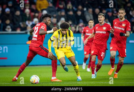 Leverkusen, Deutschland. 29. Januar 2023. Karim Adeyemi (BVB), Edmond Tapsoba (Leverkusen), Exequiel Palacios (Leverkusen), Robert Andrich (Leverkusen) Ba Stockfoto