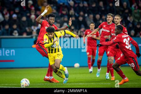 Leverkusen, Deutschland. 29. Januar 2023. Karim Adeyemi (BVB), Edmond Tapsoba (Leverkusen), Exequiel Palacios (Leverkusen), Robert Andrich (Leverkusen), J. Stockfoto