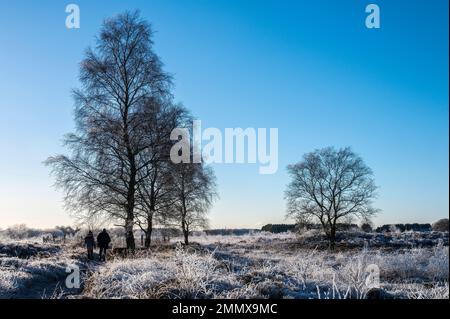 Winterfrost und leichte Schneebedeckung auf Feld und Trrees in ländlicher Umgebung. Stockfoto