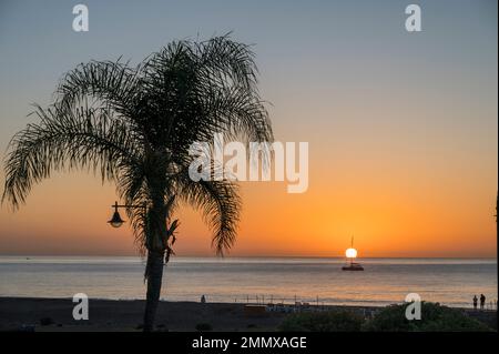 Sonnenaufgang mit Palmen in Silhouette in Puerto Del Carment, Kanarische Inseln. Stockfoto