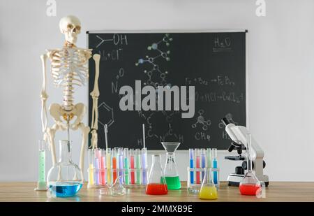 Unterschiedliche Chemie-Glasgeräte und -Skelette im Klassenzimmer Stockfoto