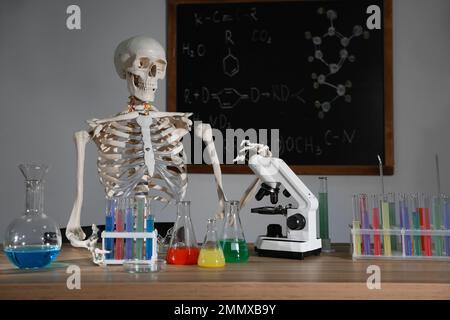 Skelett und verschiedene Chemieglasgeräte im Klassenzimmer Stockfoto