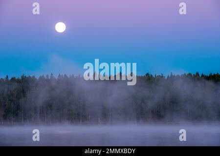 Vollmond über dem Wald, nebliger See und eine kleine Insel davor, Östergötland, Schweden Stockfoto